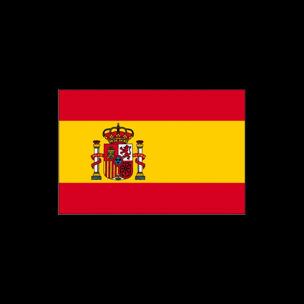 NWOT BIG ESPAGNA FLAG